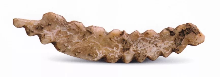 ���������һҳ