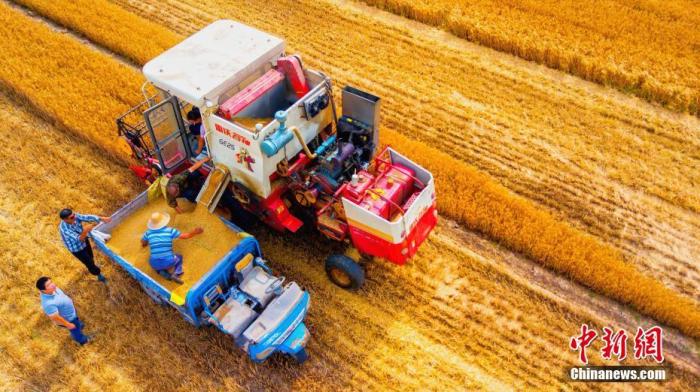 ����ͼ��ͼΪ�������ջ��档�ι��� ��