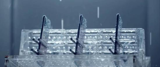 ͼ/��ҫ����������Ƶ��ͼ