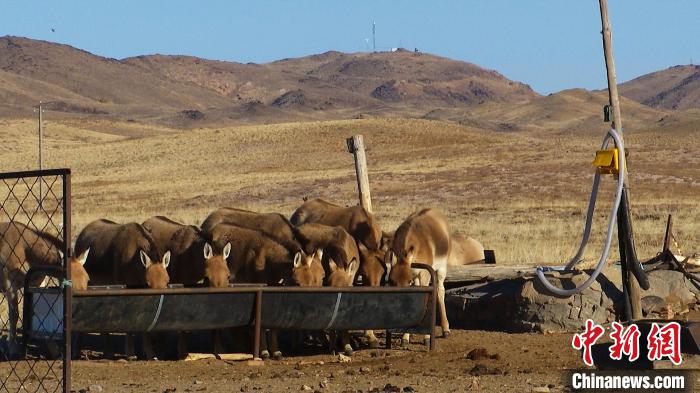 ͼΪ�ɹ�Ұ¿Ⱥ������������ˮ�����ﳬ��ͼ