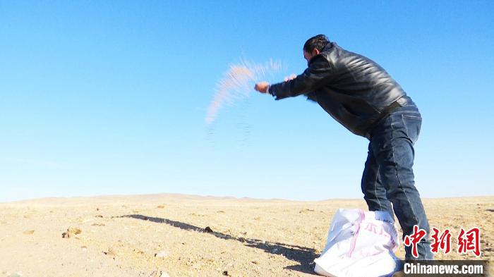 ���ɹ�һ����������16ͷ����һ�����������ɹ�Ұ¿