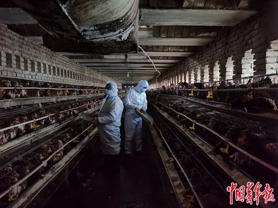 ���������һҳ