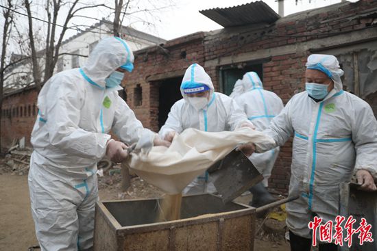 ���������һҳ