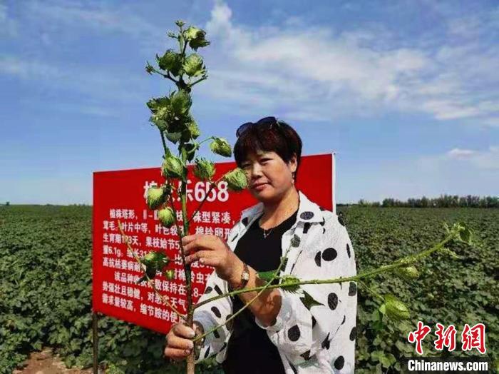 2020�꣬л�����а���229Ķ�޻���������54����Ԫ��(����ͼ) �º� ��