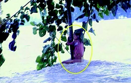 ���������һҳ