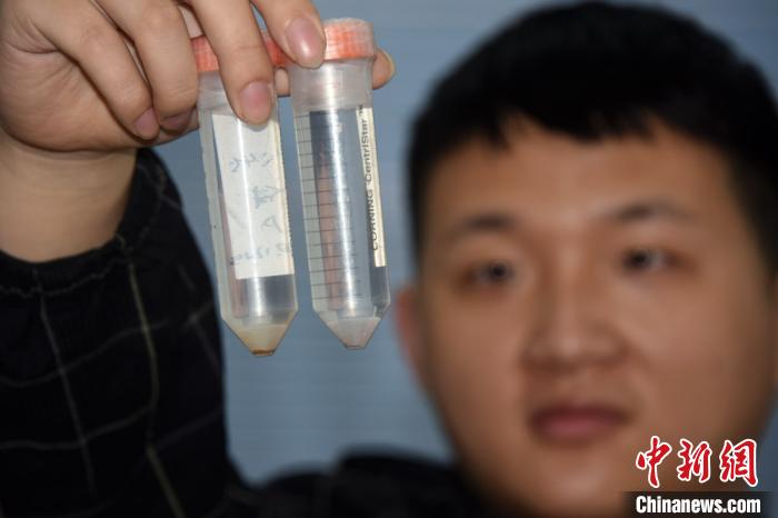 ���������һҳ