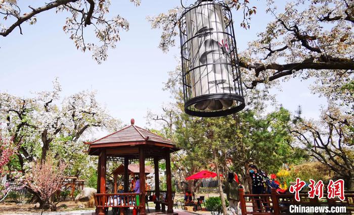 ͼΪʲ���滨ʢ�����������ͻ���(����ͼ) κ���� ��