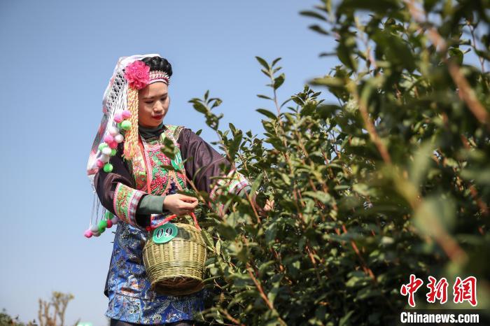 ����ͼ�����ݲ�ũ�ڲ�԰�ɲ衣���ĺ��� ��