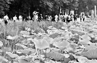 ���������һҳ