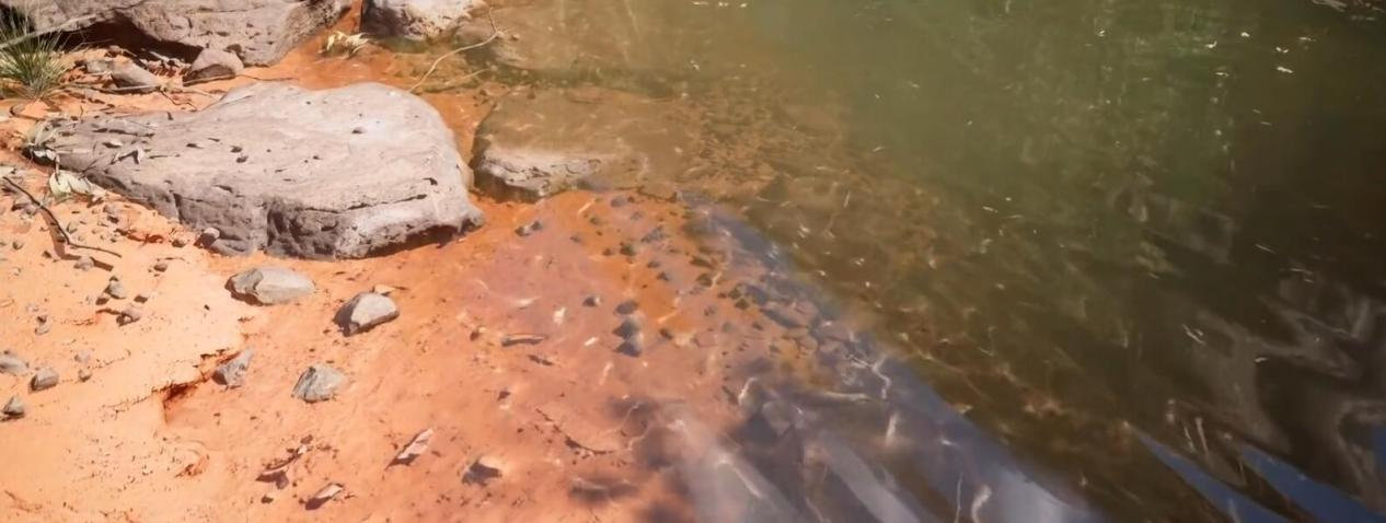 �������������Ҳ���Դ���������Ӱ