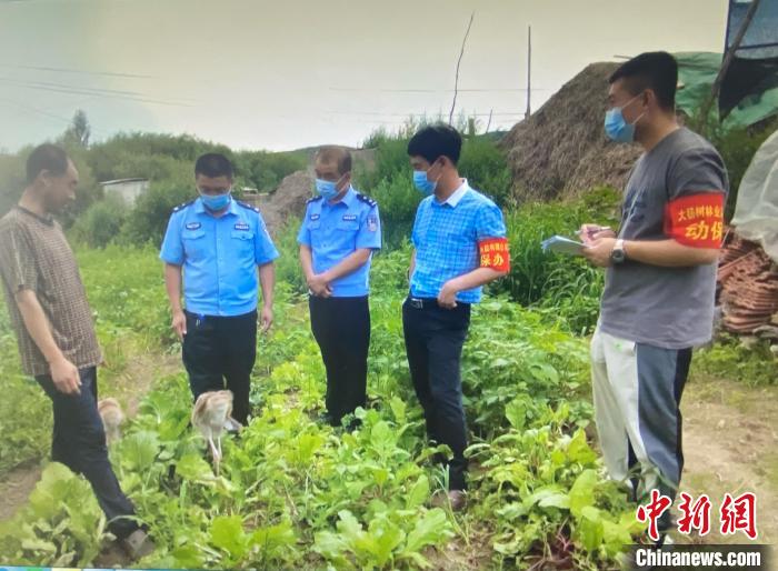 ���������һҳ