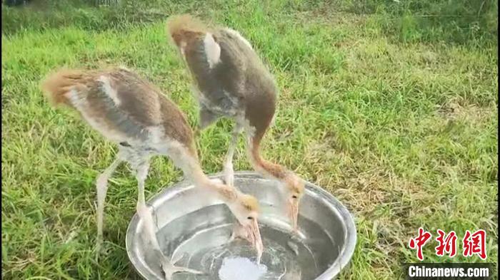 ���������һҳ