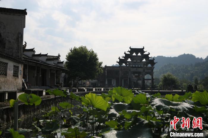 �������������Ų��ػ��ɹ���Ӳ�����Щ����֮����