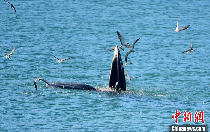 �����˲����ߵĲ��Ͼ���������̬��������