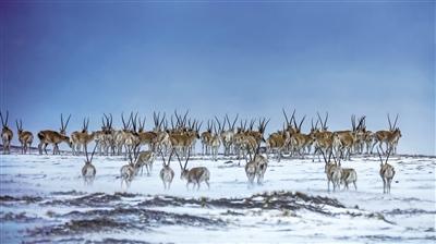 ���������һҳ