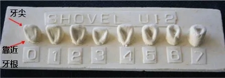 ���������ڲ����ų����ֱ���������ǵ�����ͷ�ǲ࣬���ͼʡ������������������׵״�����ġ������ұ�ʾ���޵���ȡ��ٵ��ضȣ��������Ǽ��֡�