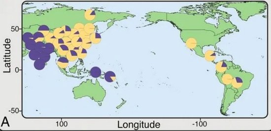 EDARV370A�����ͣ���ͼ��ɫ�����ִ�������صĳ���Ƶ�ʣ����Կ���������һƬ�ơ�