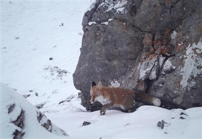 ���������һҳ