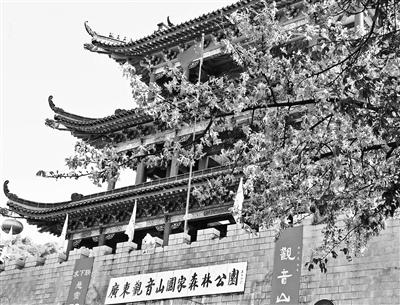 ���������һҳ