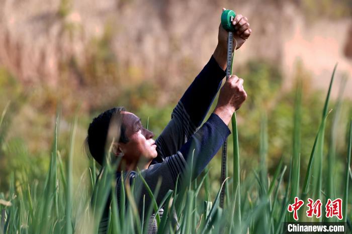 �緢�����ڵ���鿴��г��ơ������ġ���