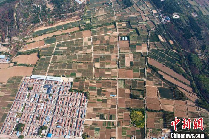 �����к�����ֲ��������ݽֵ�����塣�������� ��