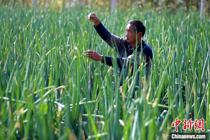 �緢�����ڵ���鿴��г��ơ������� ��