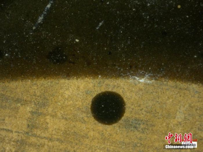 ���������һҳ