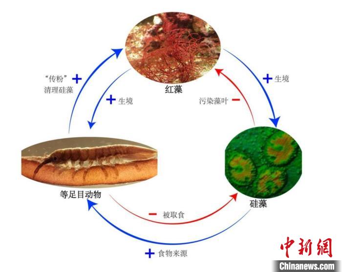 ����ɫֲ��Ҳ���ڴ����𣿿�����Ա�����·���