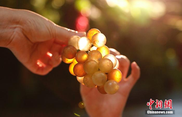 �Լ�����ġ����ѳ�����<a target='_blank' href='/' >������</a>���� ��� ��