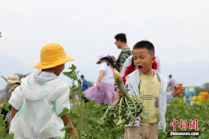 ���������һҳ