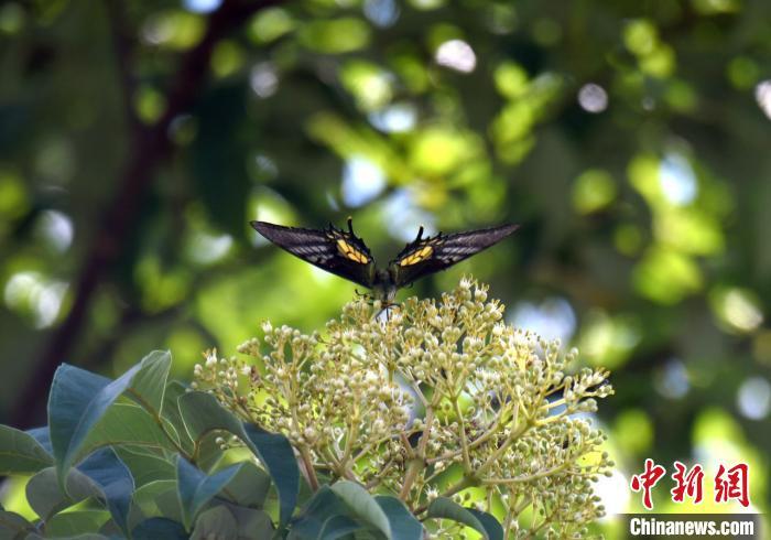 �㶫������Ҽ���Ȼ���������㵽�Ľ��๷�� �㶫ʡ��ҵ�� ��ͼ