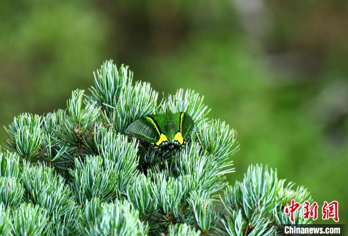 ���๷���С����лʺ�֮�� �㶫ʡ��ҵ�� ��ͼ