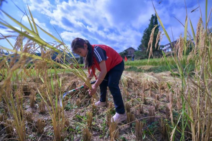 ͼƬ��Դ�����������족΢�Ź��ں�