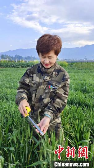 ͼΪ���Ϸ������Ŵ��ޡ������������ý�����Ĺ�ͼ