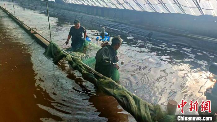 ��ʩũҵ�Ѵ��߹�����ݡ���ҵ���������ֳ��ҵ���졣����ѧ�� ��