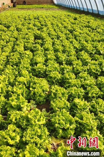 ¡��ʱ�ڣ������߲����������г�����ʷ�� ��