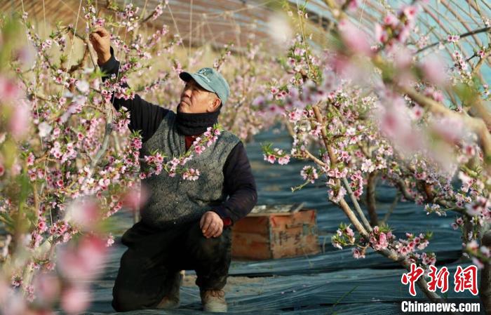 ��ʮ��ʦ����һ������ְ�����������ڸ������軨(����ͼ)�����Ա�ɽ ��