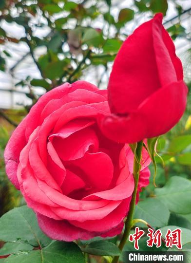 ��ʩ�����е��ʻ�����(����ͼ)����ʷ�� ��