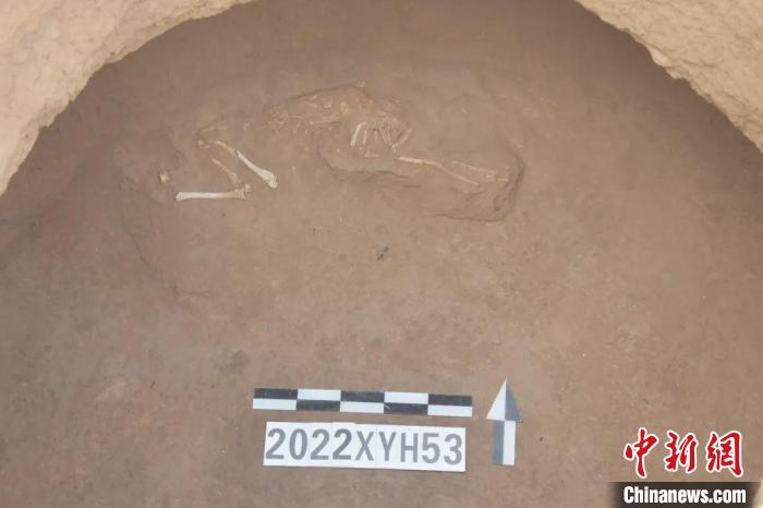 ����ַ������¹�ǡ���ɽ��ʡ�����о�Ժ��ͼ