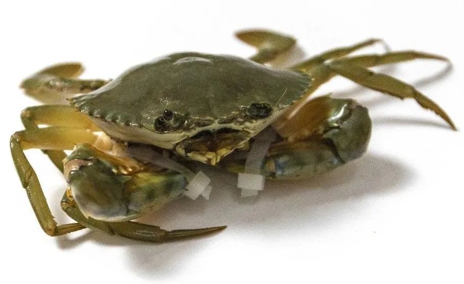һӴ˵9죡˿ڲ󡭡ҽչ̨绹